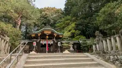 八大神社の{uncategorized: "未分類", other: "その他", undefined: "問題あり", building: "その他建物", grave: "お墓", sacred_gate: "鳥居", guardian: "狛犬", statue: "像", buddha: "仏像", history: "歴史", nature: "自然", garden: "庭園", animal: "動物", pagoda: "塔", temizu: "手水舎", mountain_gate: "山門・神門", sanctuary: "本殿・本堂", subordinate: "末社・摂社", art: "芸術", scenery: "景色", jizo: "地蔵", ema: "絵馬", goshuin: "御朱印", omikuji: "おみくじ", items: "授与品その他", amulet: "お守り", goshuincho: "御朱印帳", eats: "食事", festival: "お祭り", votive_dance: "神楽", shichigosan: "七五三参", wedding: "結婚式", experience: "体験その他", initially: "初詣", around: "周辺", anti_infection: "感染症対策"}