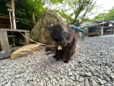 粉河産土神社（たのもしの宮）(和歌山県)