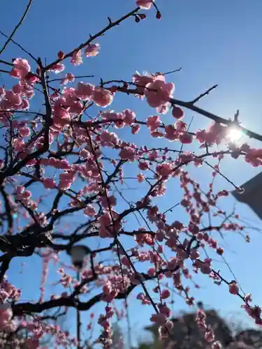 比佐豆知神社の自然