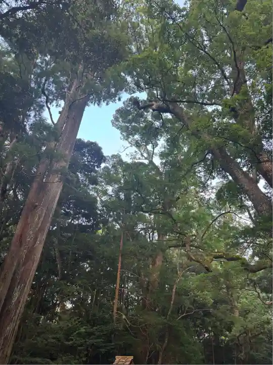 伊勢神宮内宮(皇大神宮)(三重県)