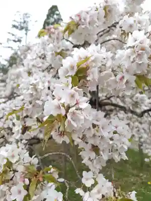 大原野神社(京都府)