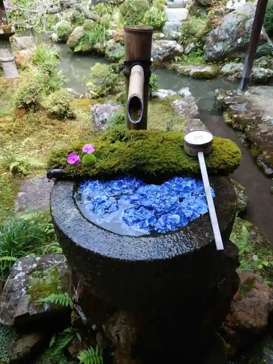 柳谷観音 楊谷寺の手水舎