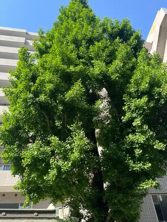 大井蔵王権現神社(東京都)