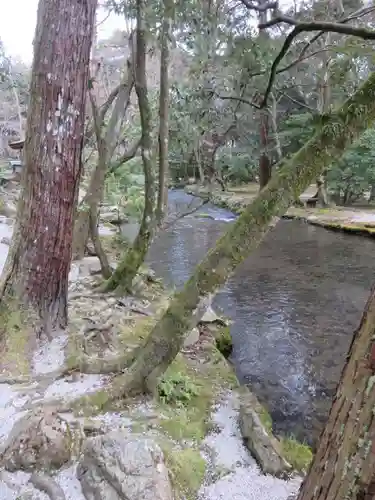 賀茂別雷神社（上賀茂神社）の自然