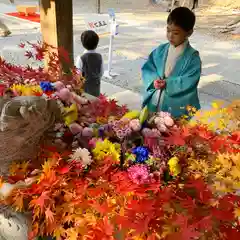 滑川神社 - 仕事と子どもの守り神の七五三参