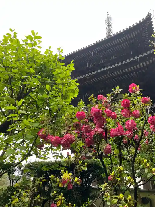 當麻寺西南院(奈良県)