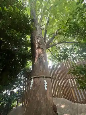 鎮守氷川神社(埼玉県)