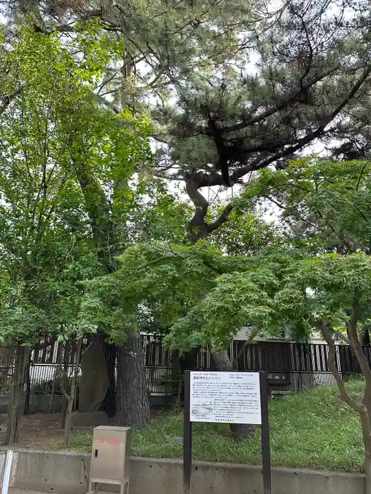 葛飾神社(千葉県)