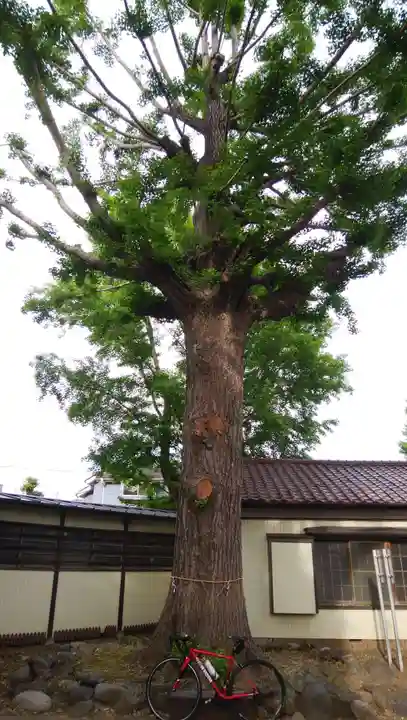 蘇我比咩神社の自然