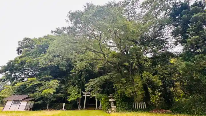 蛭子神社(京都府)