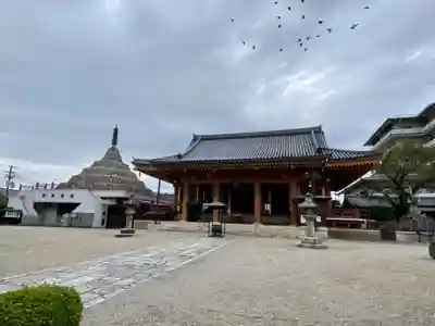 壬生寺の本殿・本堂