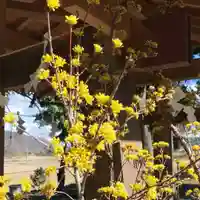 高司神社〜むすびの神の鎮まる社〜(福島県)