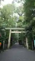 椿大神社の鳥居