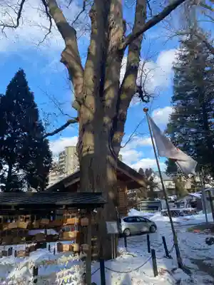 住吉神社(岩手県)