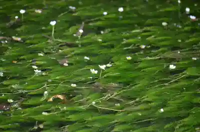 醒井延命地蔵尊(滋賀県)