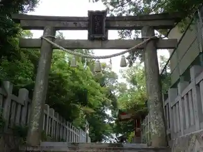 亀之森住吉神社の鳥居