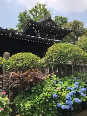 白山神社の本殿・本堂