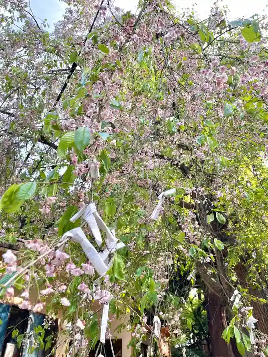 大星神社(青森県)