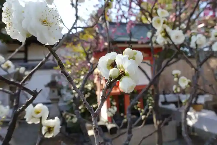 菅原天満宮(菅原神社)の自然