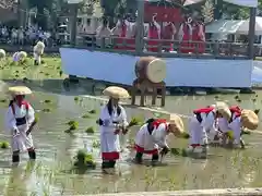 住吉大社(大阪府)