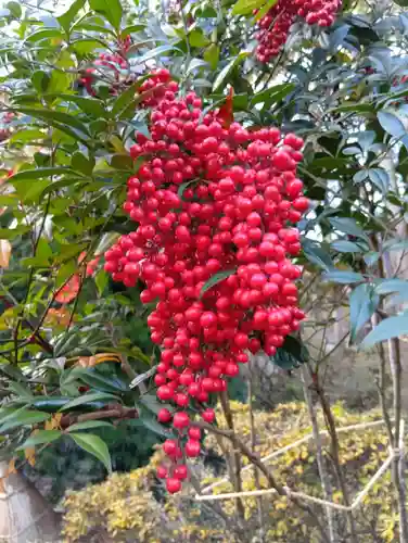 金蛇水神社(宮城県)