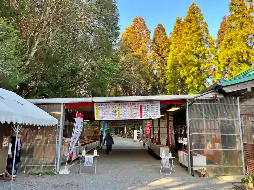 東霧島神社(宮崎県)