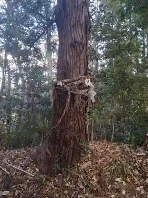 大平神社(中目)(宮城県)