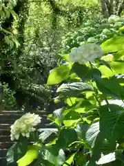 長谷寺(神奈川県)