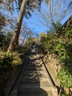 東新町氷川神社(東京都)