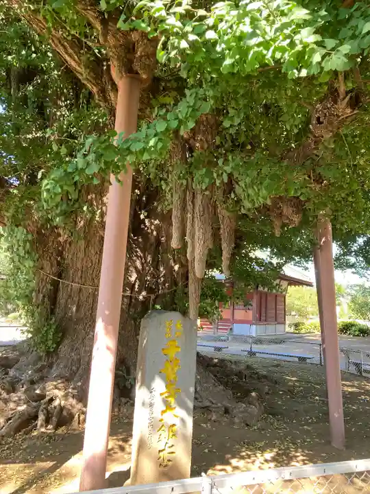 千葉寺(千葉県)