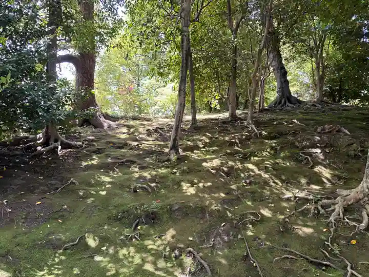 城南宮(京都府)