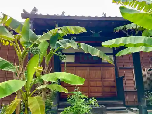 洞雲寺(東京都)