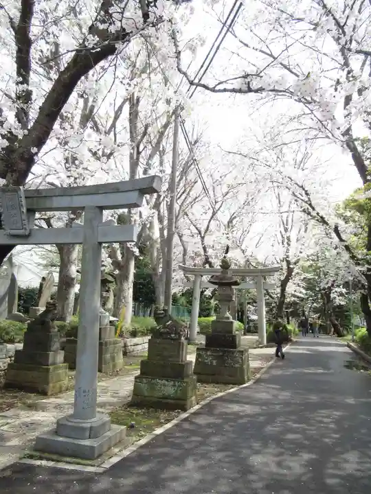 前原御嶽神社(千葉県)