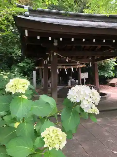 愛知縣護國神社の手水舎