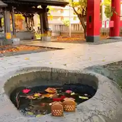 彌彦神社　(伊夜日子神社)(北海道)