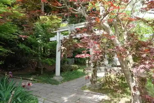 稗田野神社(薭田野神社)の鳥居