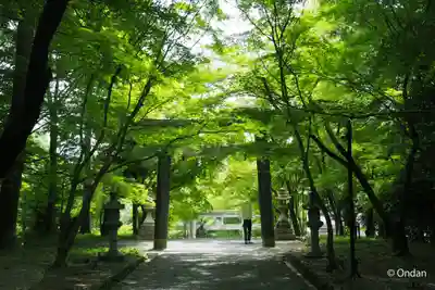 大原野神社(京都府)