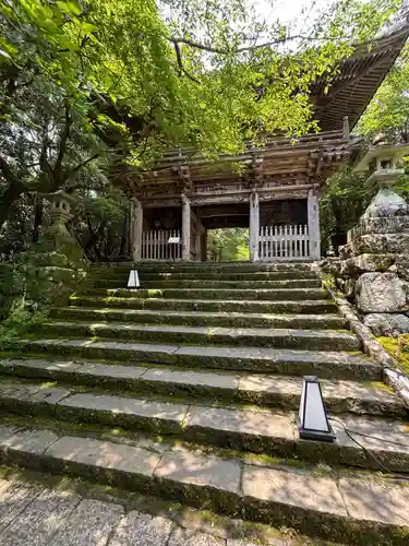 竹林寺(高知県)