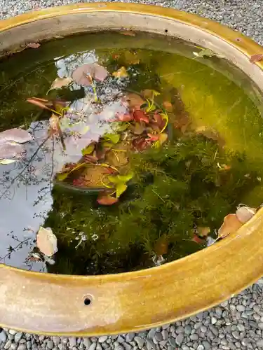 阿佐ヶ谷神明宮の自然