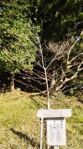 鹿島大神宮(福島県)