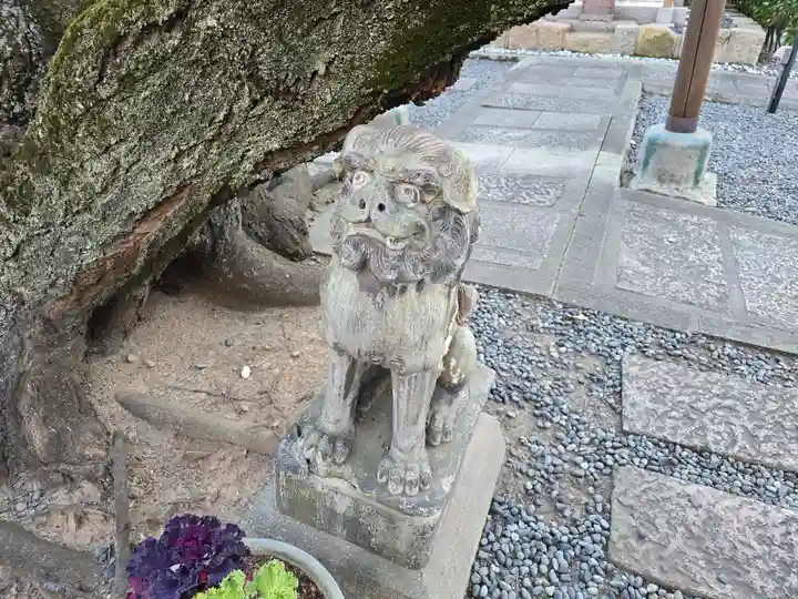 光傅寺(光伝寺)(大阪府)