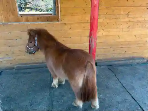 五方山熊野神社(東京都)