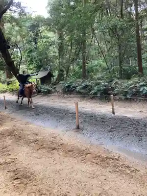 鹿島神宮(茨城県)