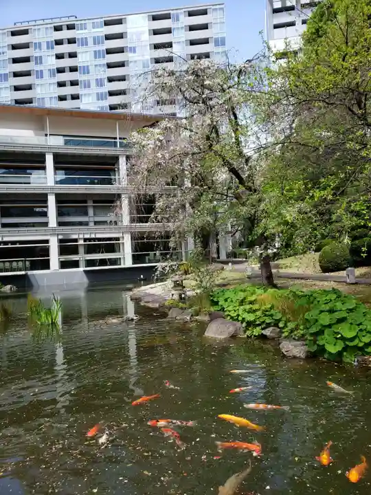 東郷神社の庭園