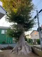 妙見神社(千葉県)