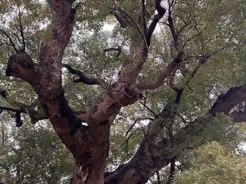 村上社(愛知県)