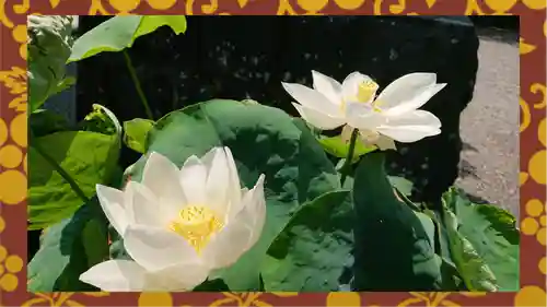 大蔵院(群馬県)