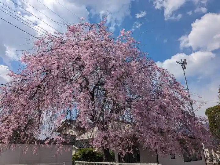 西光寺(山梨県)