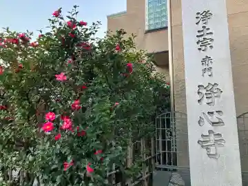浄心寺の{uncategorized: "未分類", other: "その他", undefined: "問題あり", building: "その他建物", grave: "お墓", sacred_gate: "鳥居", guardian: "狛犬", statue: "像", buddha: "仏像", history: "歴史", nature: "自然", garden: "庭園", animal: "動物", pagoda: "塔", temizu: "手水舎", mountain_gate: "山門・神門", sanctuary: "本殿・本堂", subordinate: "末社・摂社", art: "芸術", scenery: "景色", jizo: "地蔵", ema: "絵馬", goshuin: "御朱印", omikuji: "おみくじ", items: "授与品その他", amulet: "お守り", goshuincho: "御朱印帳", eats: "食事", festival: "お祭り", votive_dance: "神楽", shichigosan: "七五三参", wedding: "結婚式", experience: "体験その他", initially: "初詣", around: "周辺", anti_infection: "感染症対策"}