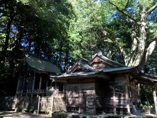 下野八幡大神社の本殿・本堂